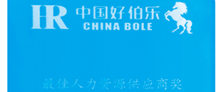 最佳人力资源供应商